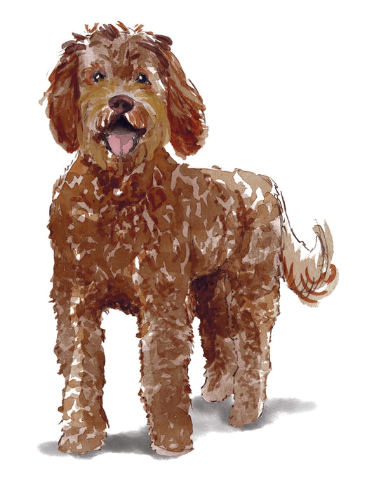 Illustration of a brown and white dog on a white background