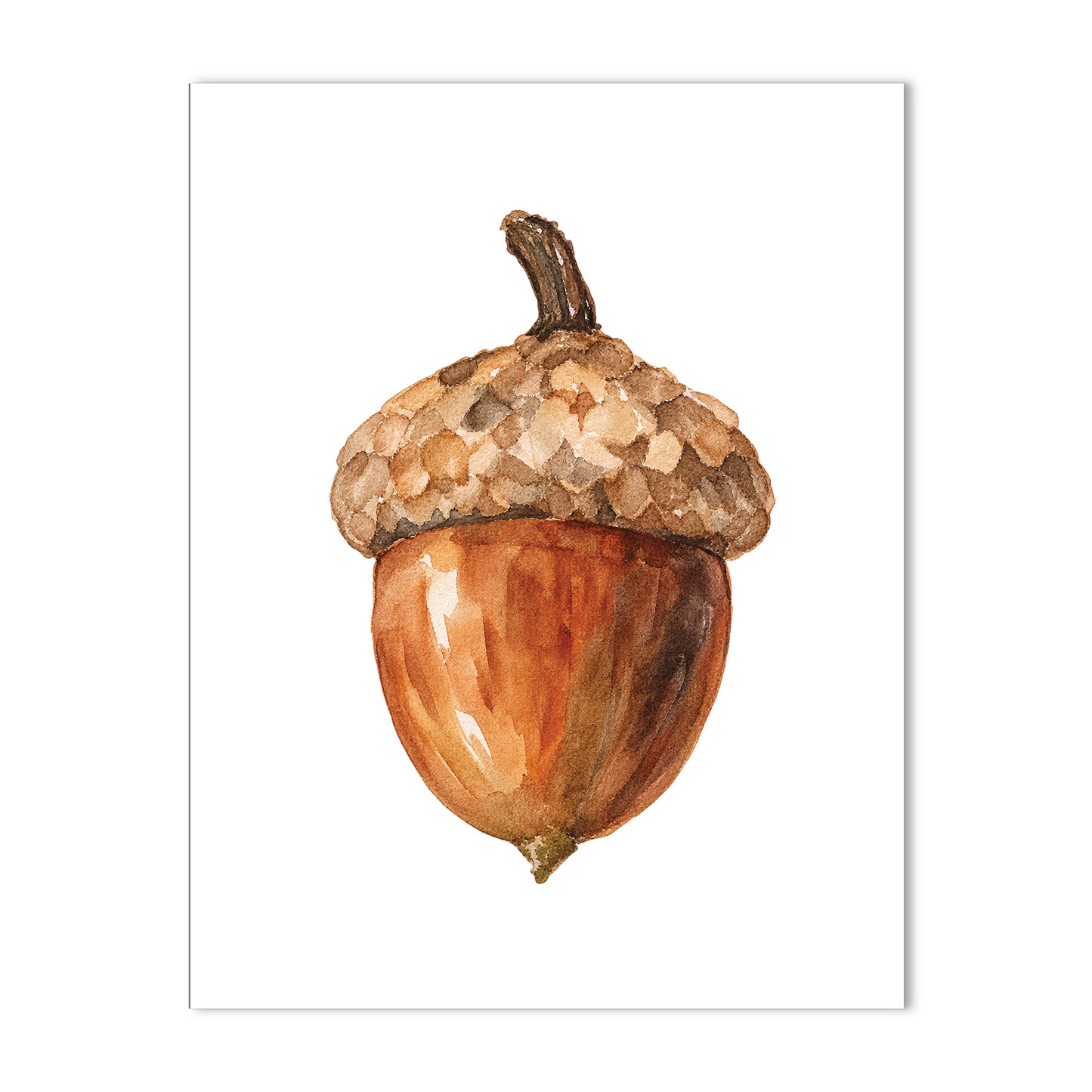 Acorn Note Card a2 Stationery