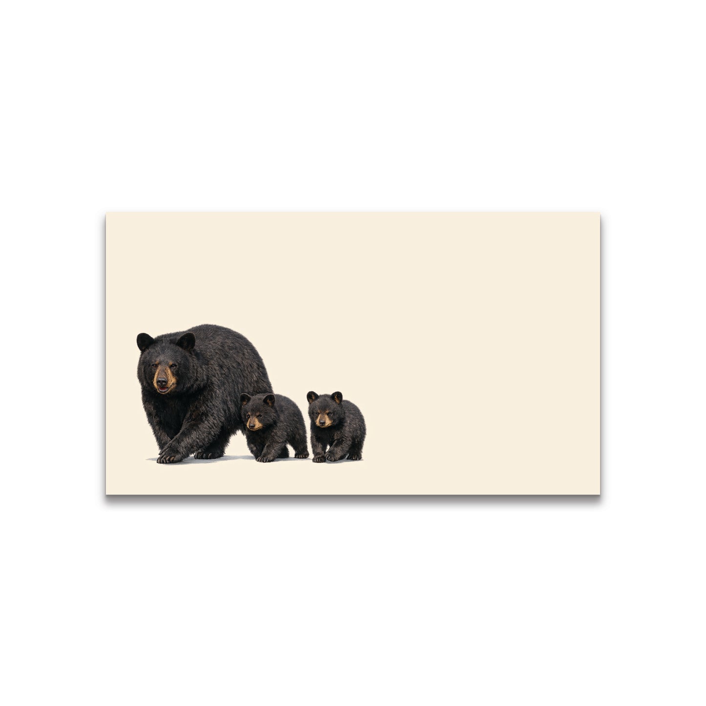 Mama Bear with Cubs Happy Note - 2" x 3.5" Clear Boxed Set of 30 Cards
