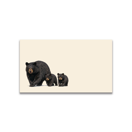 Mama Bear with Cubs Happy Note - 2" x 3.5" Clear Boxed Set of 30 Cards