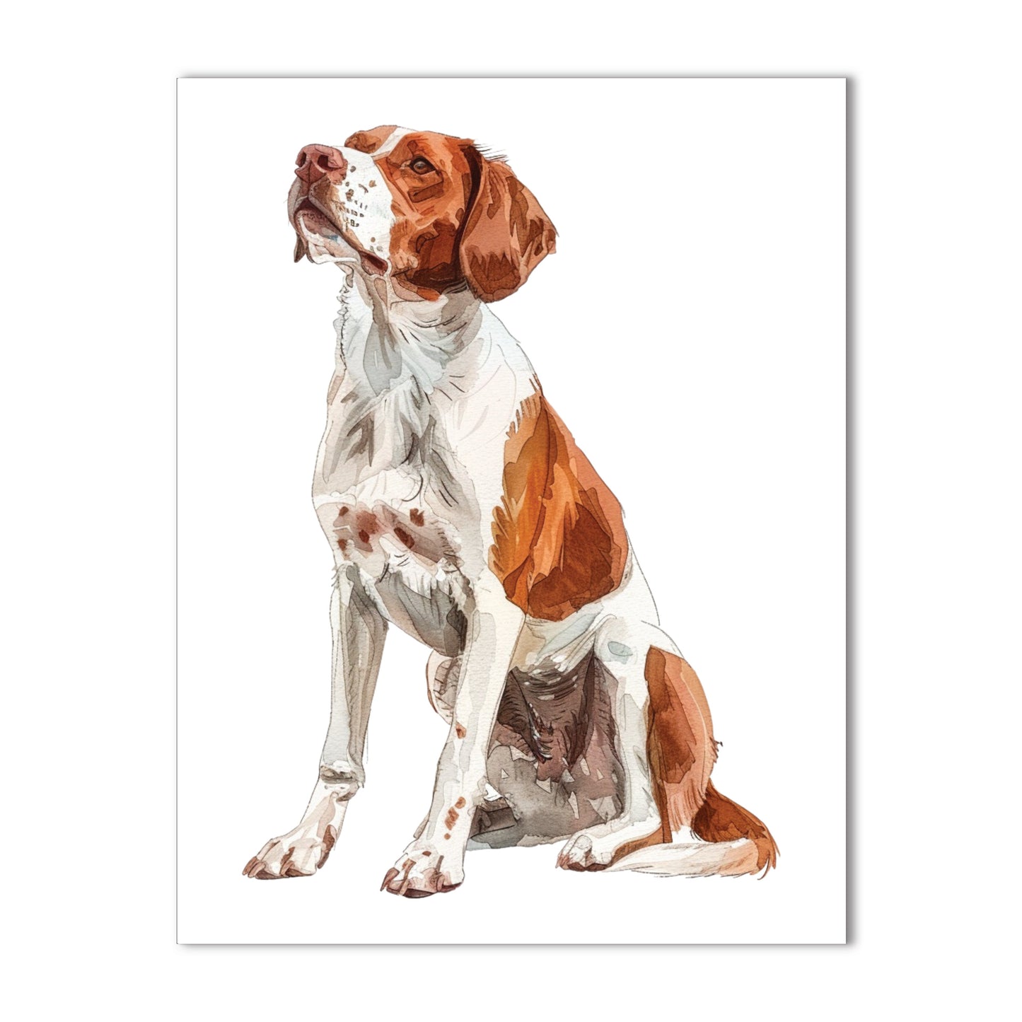 Brittany Spaniel Note Cards