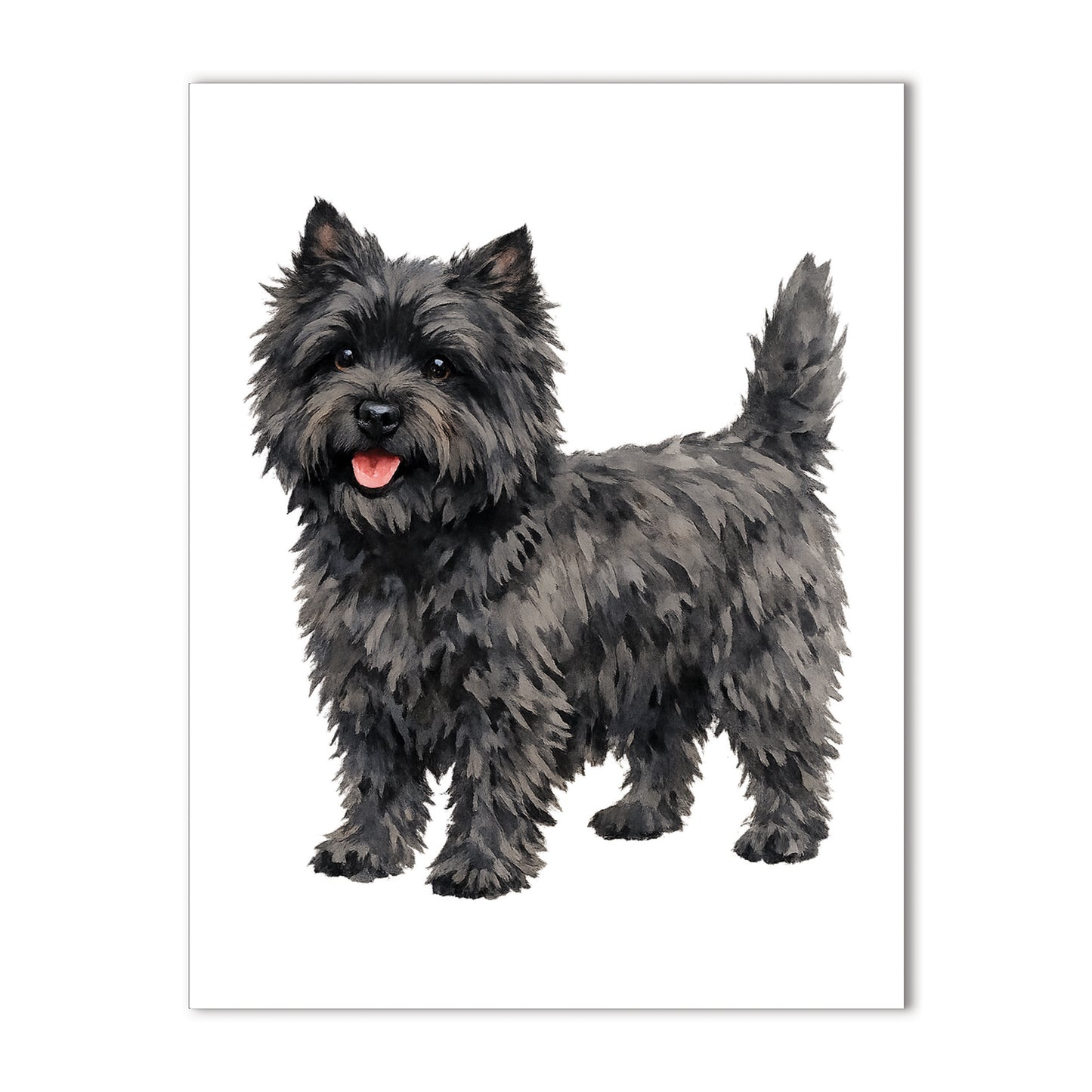 Black terrier dog standing on a white background