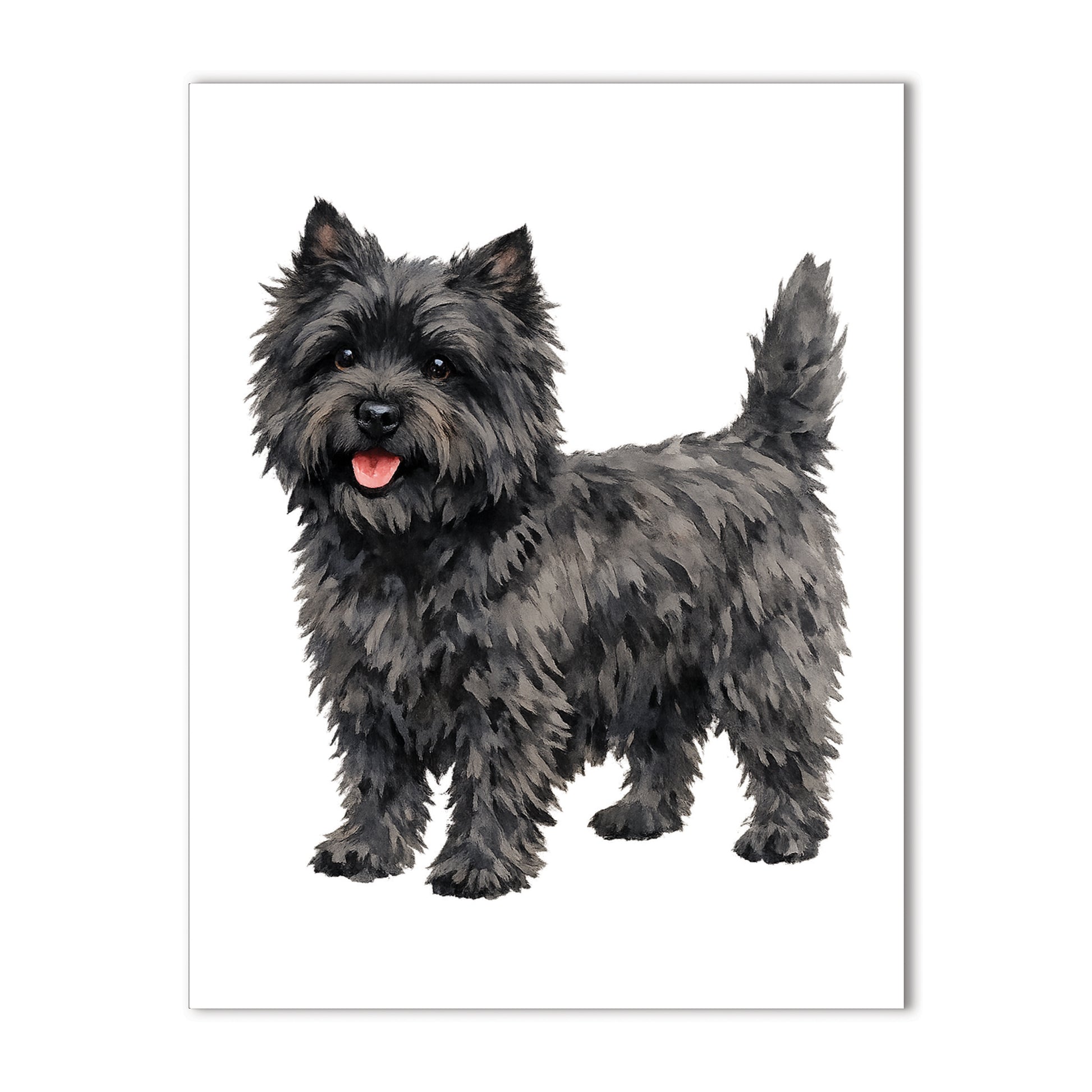 Black terrier dog standing on a white background
