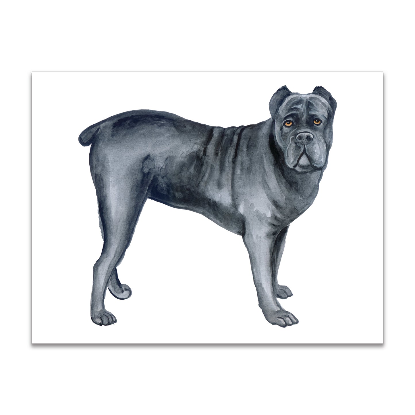 Cane Corso Note Cards