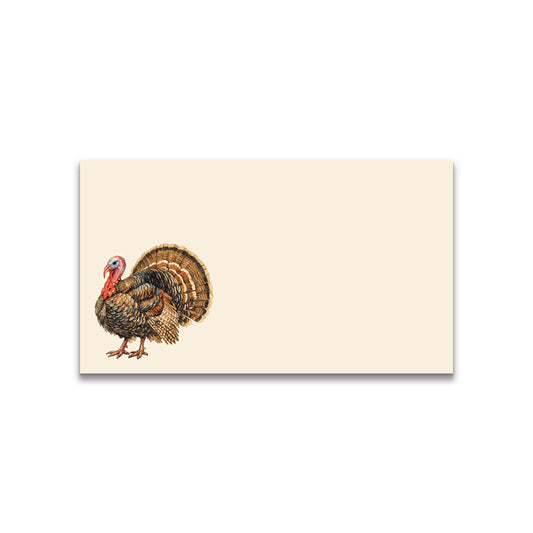 Vintage Watercolor Turkey Happy Note - 2" x 3.5" Clear Boxed Set of 30 Cards