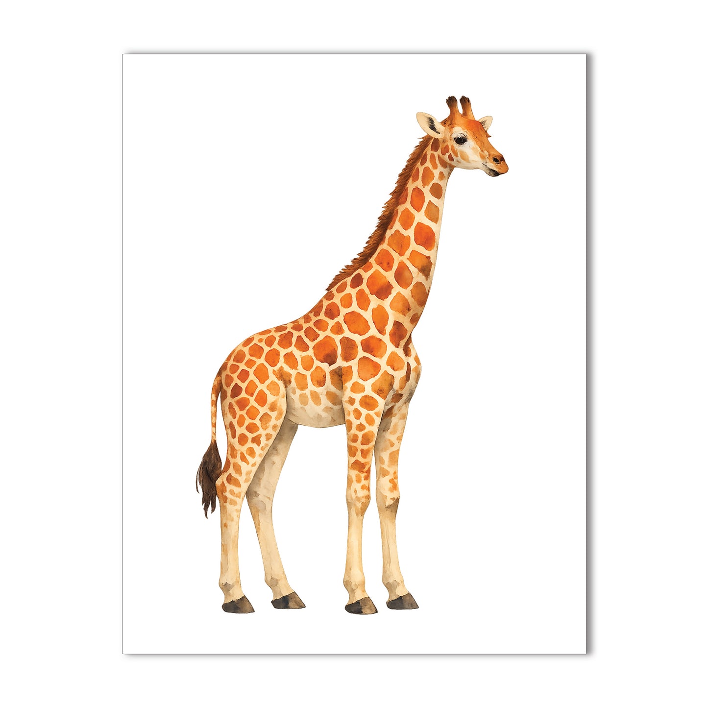 Giraffe Note Cards - a2 Blank Cards with Envelopes 4.25" x 5.5"
