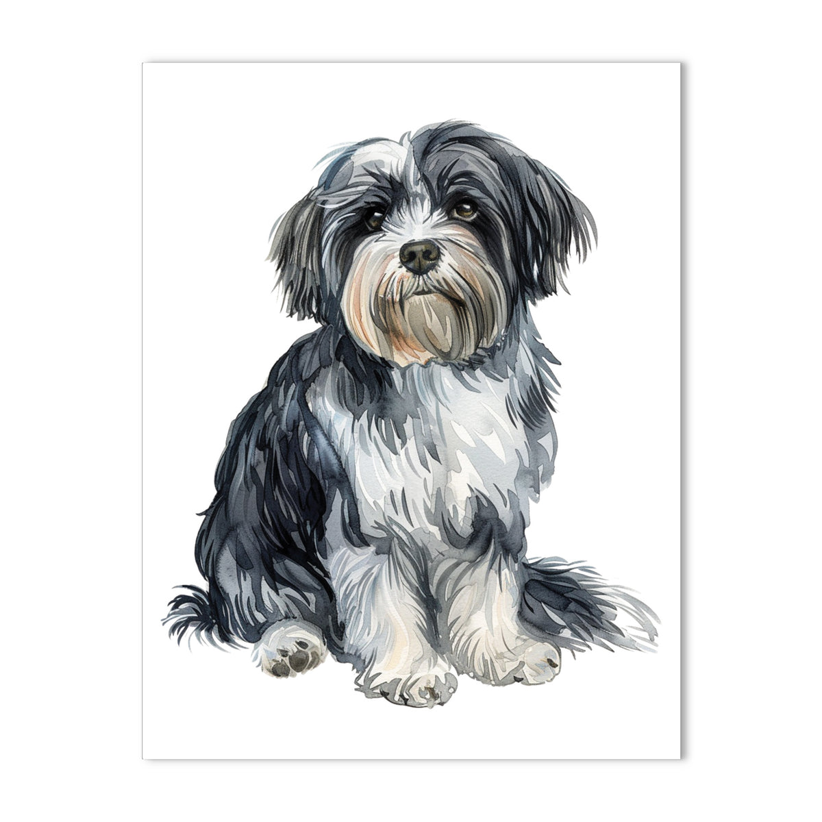 Havanese Black & White Note Cards Blank Boxed Set of 10