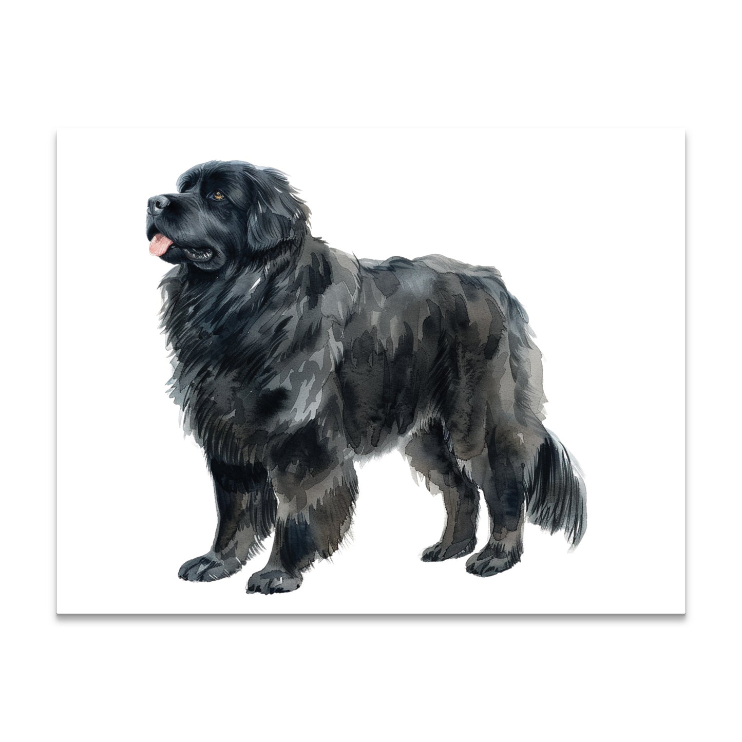 Newfoundland Note Cards Blank Boxed Set of 10