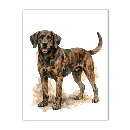 tennesseepotthound

