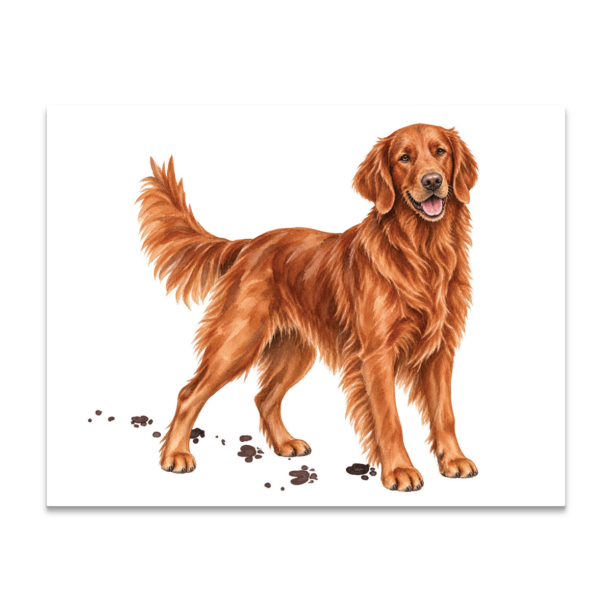 Red Field Retriever Note Cards Blank Boxed Set of 10