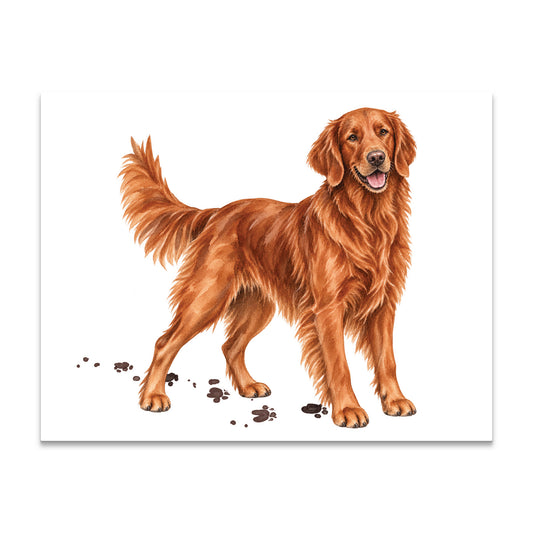 Red Field Retriever Note Cards Blank Boxed Set of 10