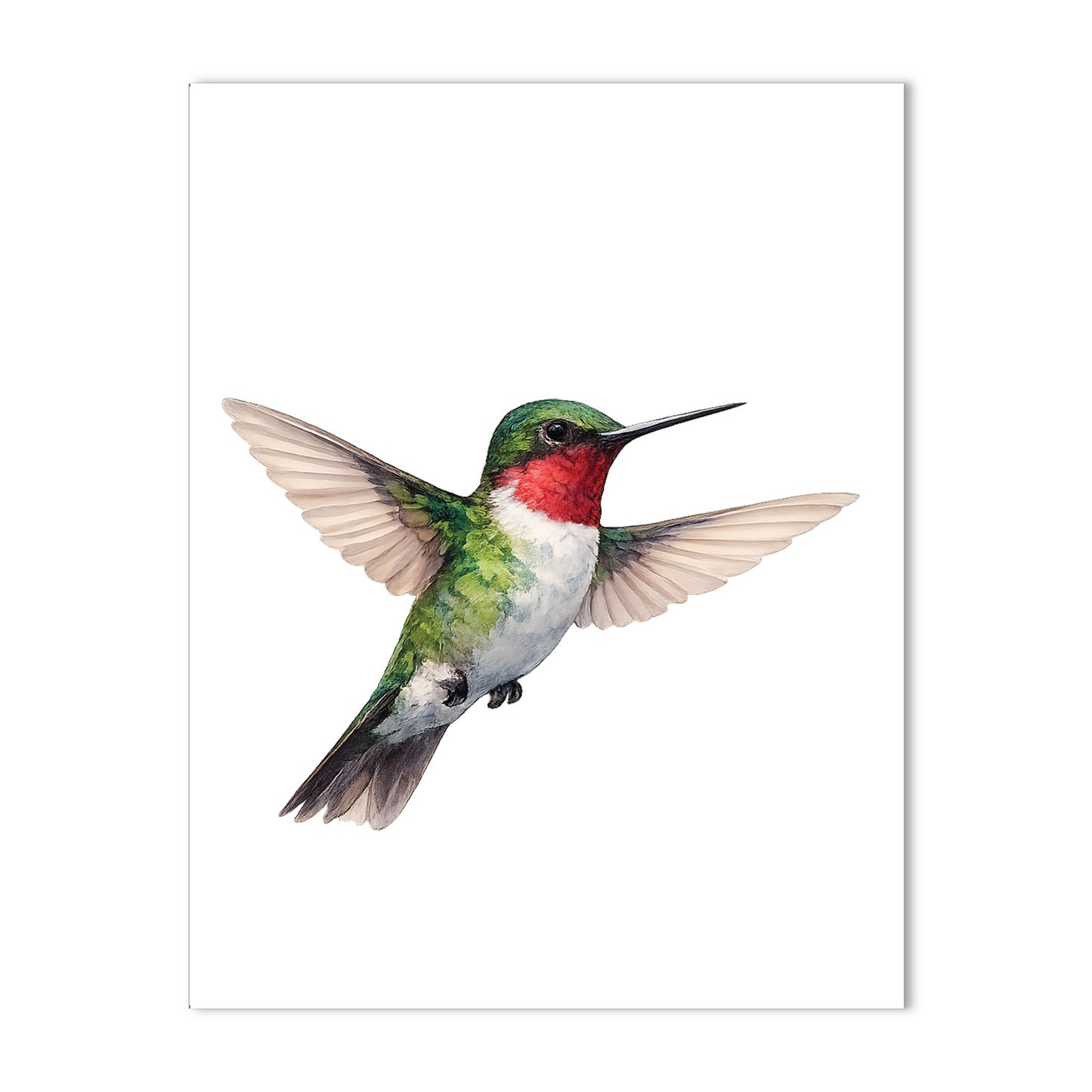 Watercolor Hummingbird - Blank Cards with Envelopes 4.25" x 5.5"