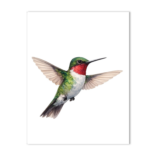 Watercolor Hummingbird - Blank Cards with Envelopes 4.25" x 5.5"