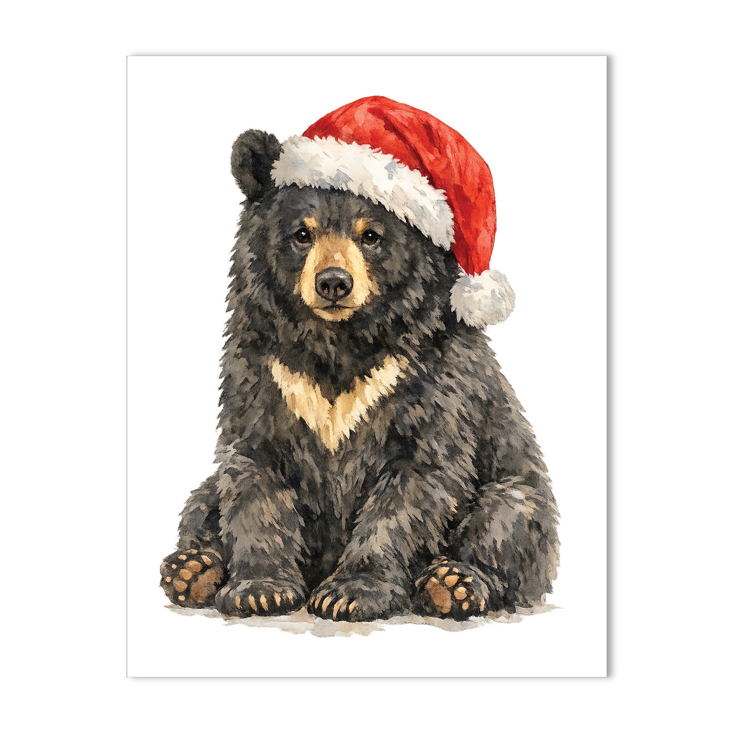 Christmas Santa Bear Blank Boxed Holiday Cards
