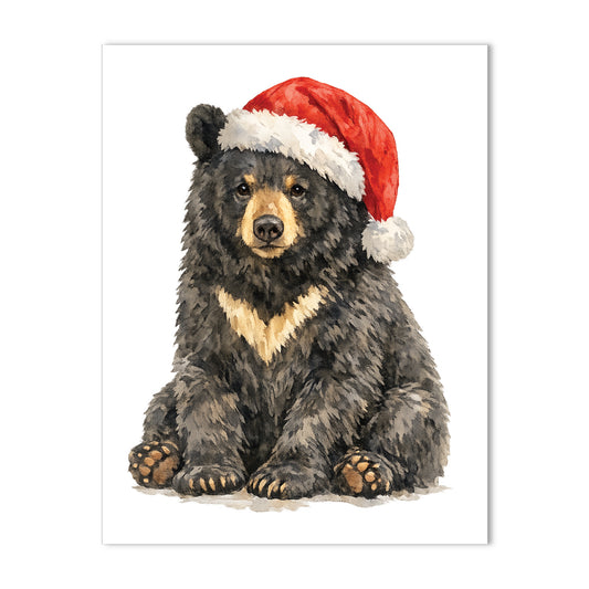 Christmas Santa Bear Blank Boxed Holiday Cards