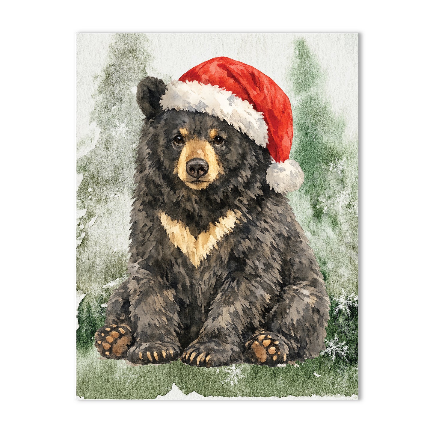 Christmas Santa Bear in the Woods Blank Boxed Holiday Cards