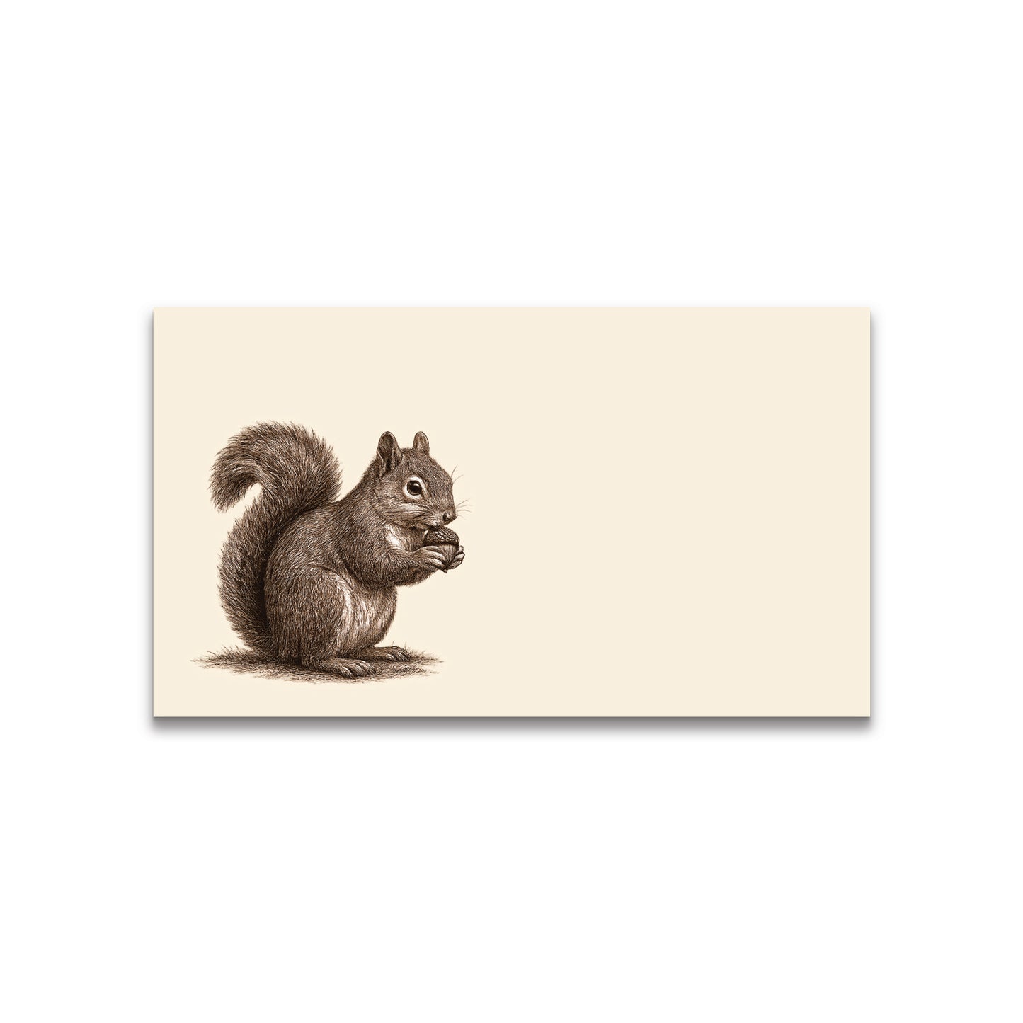Squirrel Vintage Brown Ink Happy Note - 2" x 3.5" Clear Boxed Set of 30 Cards