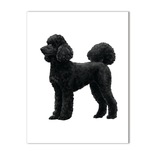 Standard Poodle, Black Note Cards