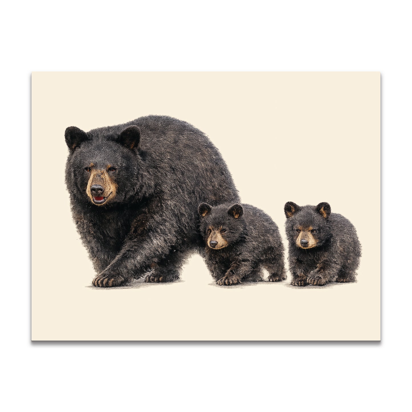 Black Bear with Cubs Stationery - a2 Blank Cards with Envelopes 4.25" x 5.5"