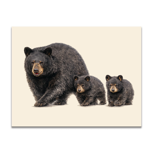Black Bear with Cubs Stationery - a2 Blank Cards with Envelopes 4.25" x 5.5"
