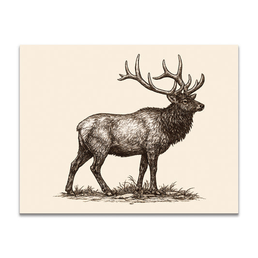 Illustration of a male elk with large antlers on a beige background