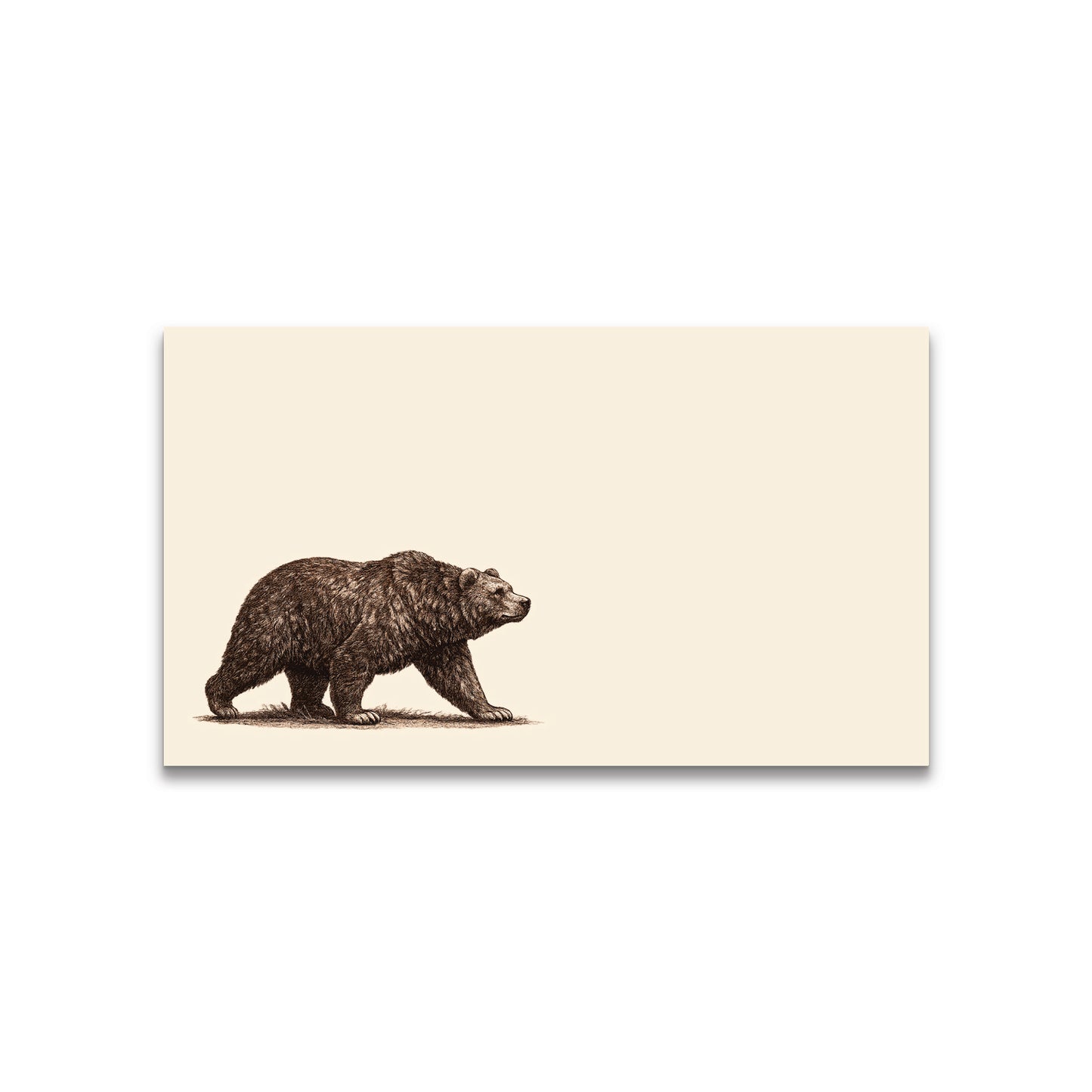 Prowling Bear Vintage Brown Ink Happy Note - 2" x 3.5" Clear Boxed Set of 30 Cards