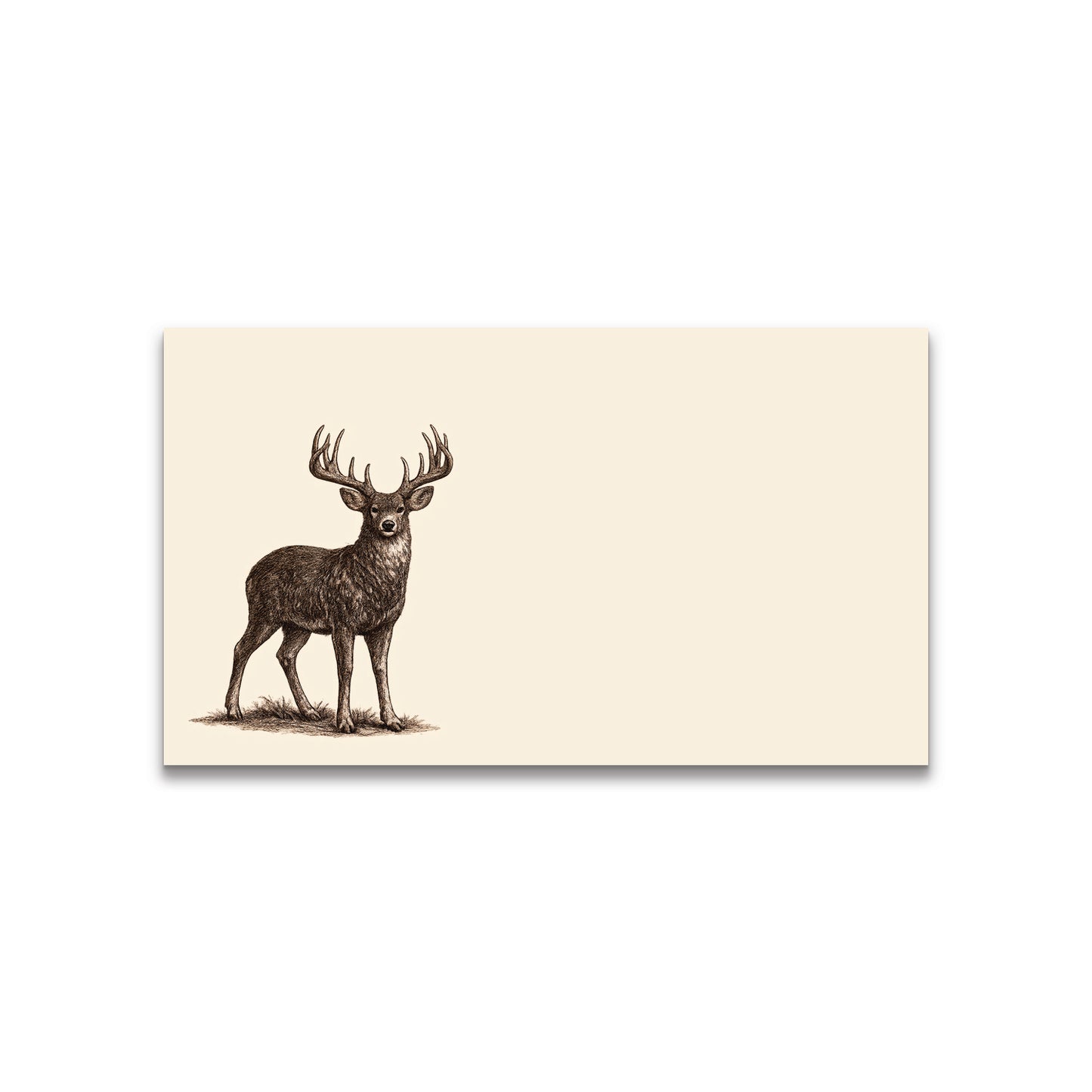 White Tail Buck Vintage Brown Ink Happy Note - 2" x 3.5" Clear Boxed Set of 30 Cards