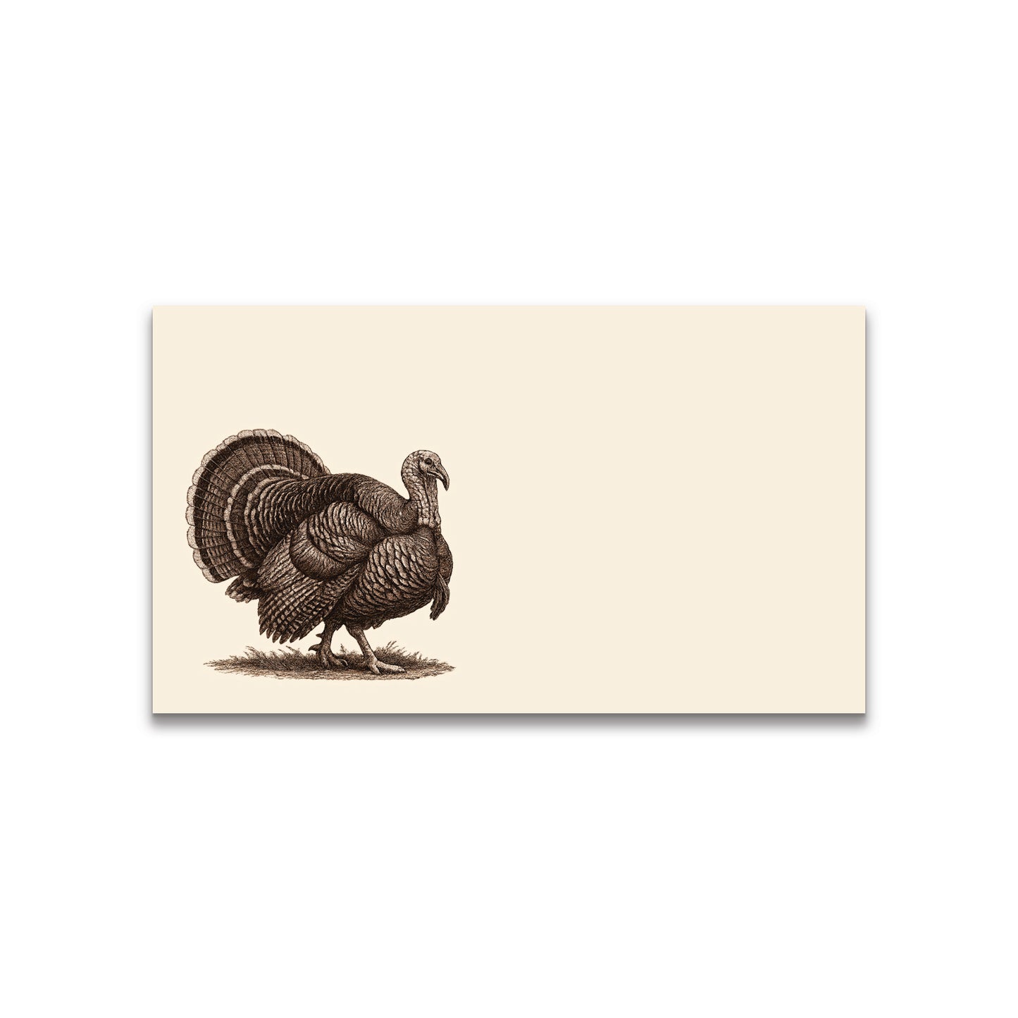 Vintage Brown Ink Turkey Happy Note - 2" x 3.5" Clear Boxed Set of 30 Cards