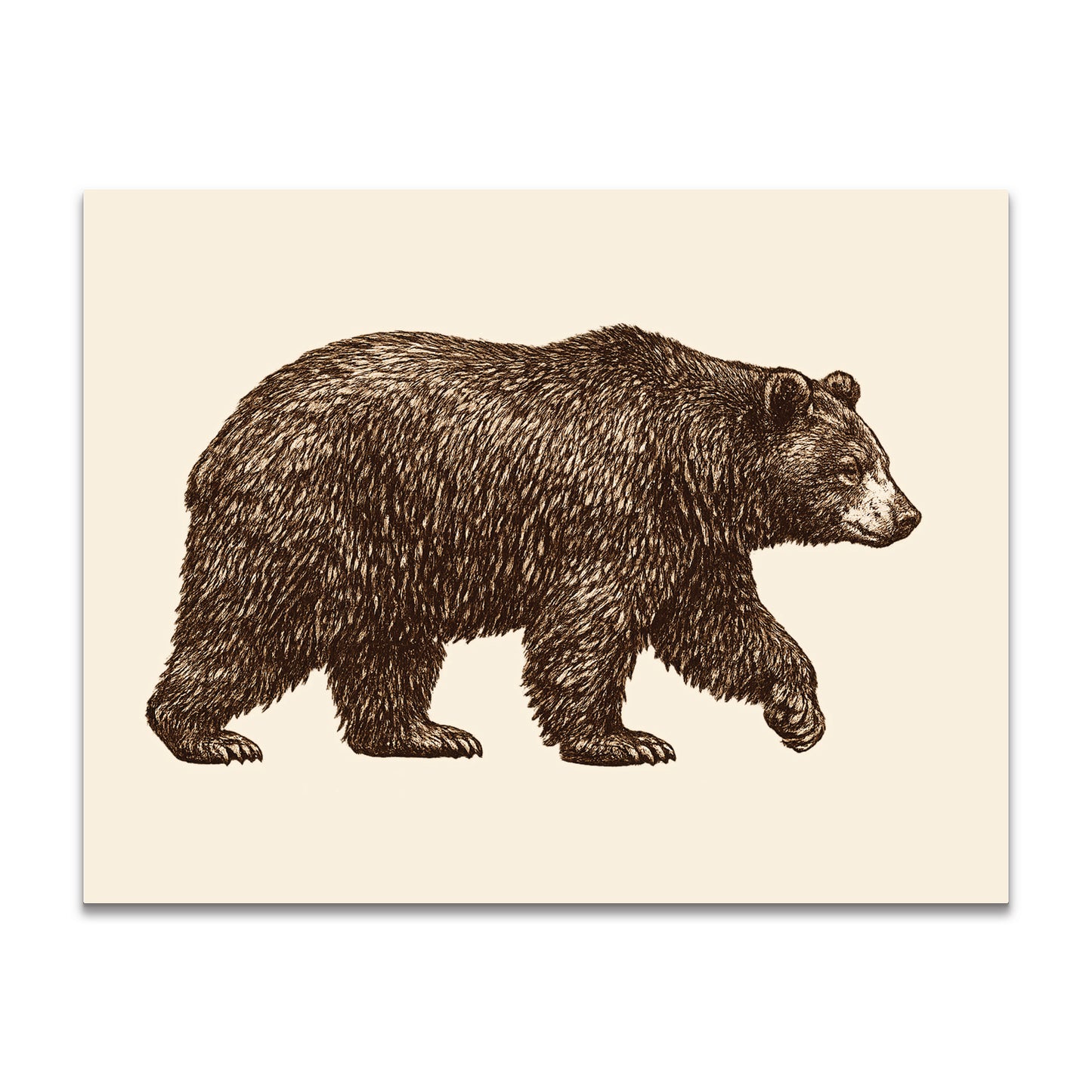 Vintage Walking Black Bear Stationery - a2 Blank Cards with Envelopes 4.25" x 5.5"
