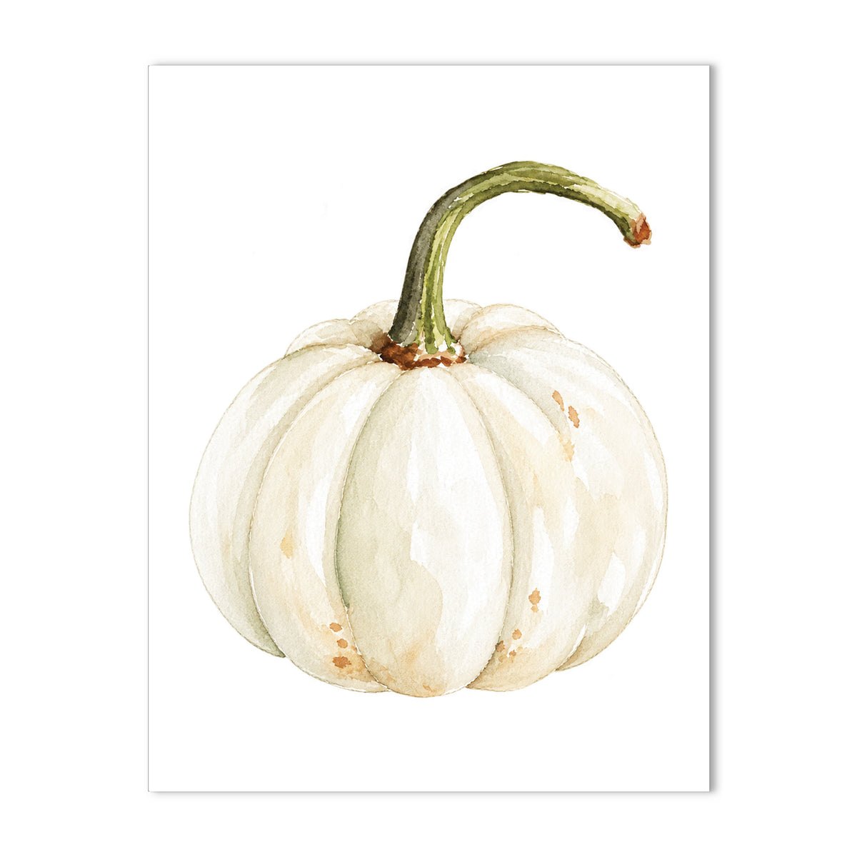 Autumn Cozy Note Card Set of 10 a2 Stationery