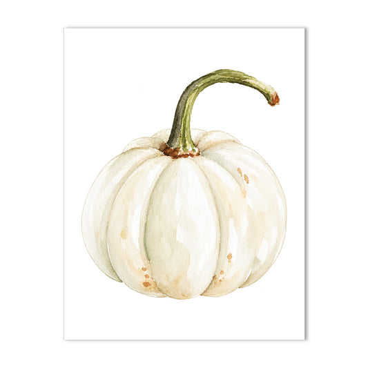 White Heirloom Pumpkin Note Card a2 Stationery