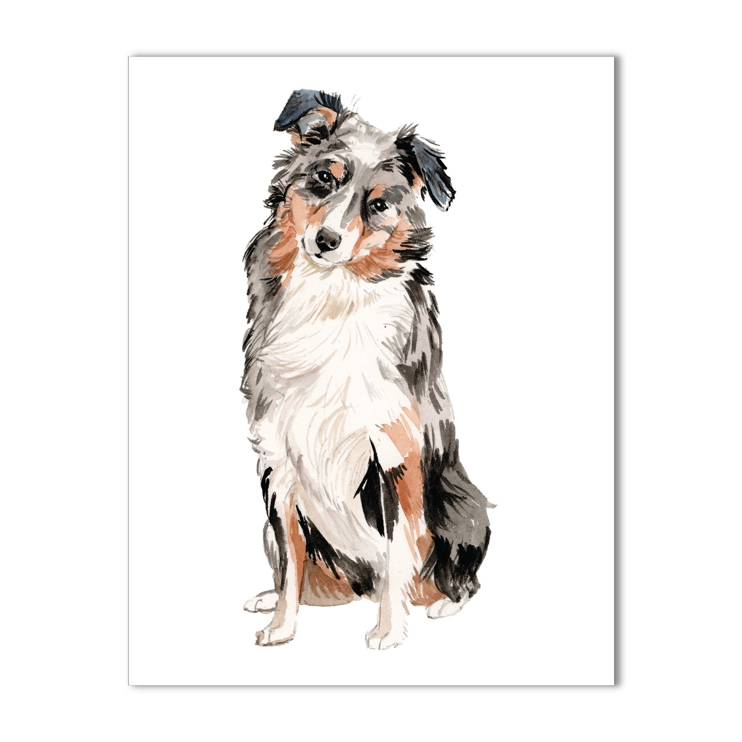 Australian Shepherd Note Cards Box Set of 10 - A2 Size