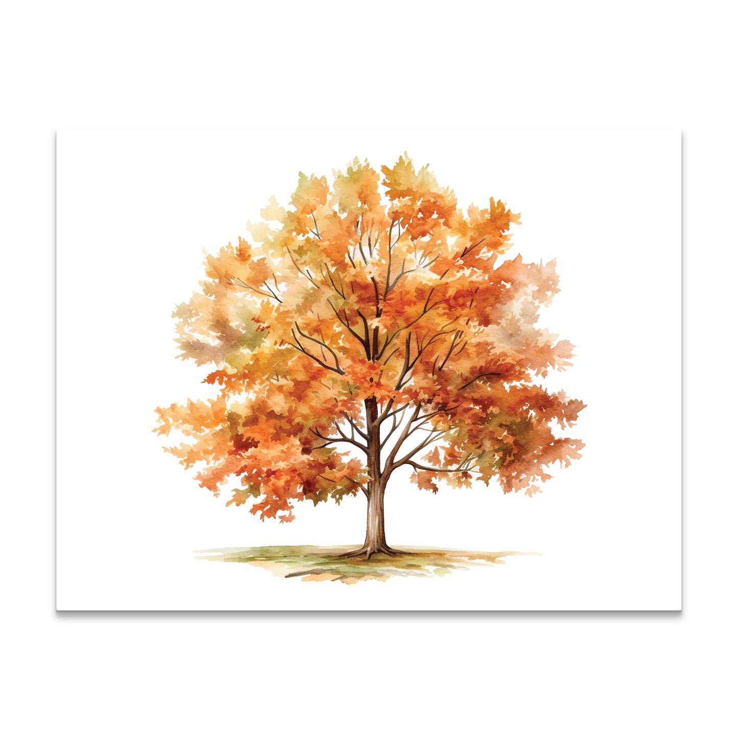 Autumn Splendor Note Cards a2 Boxed Stationery