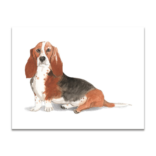 Basset Hound Note Cards Blank Boxed Set of 10
