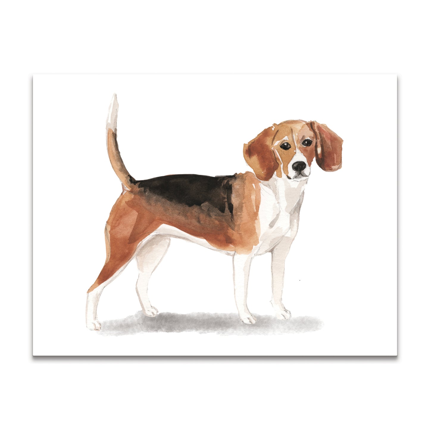 Beagle Note Cards Blank Boxed Set of 10