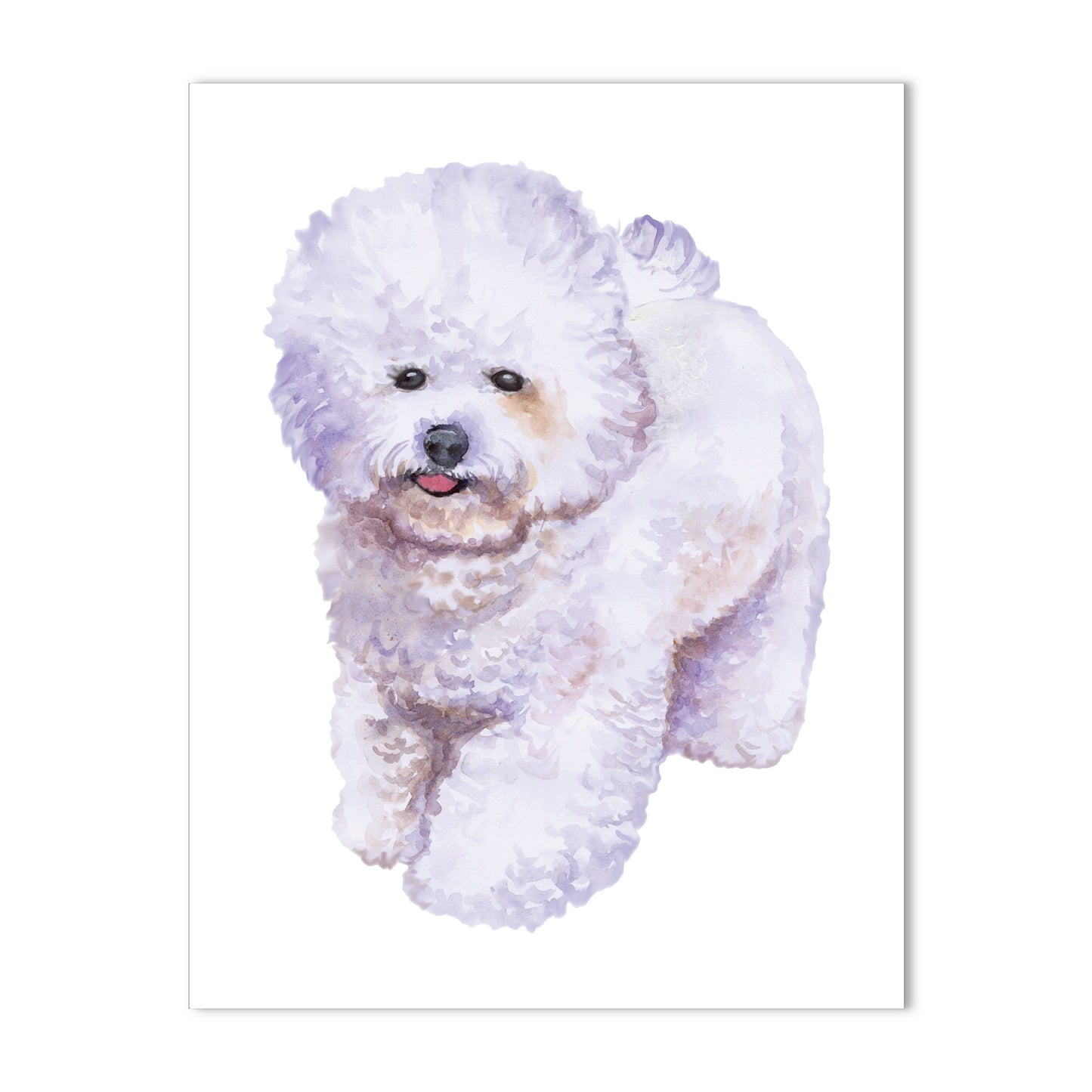 Bichon Frise Note Cards Blank Boxed Set of 10