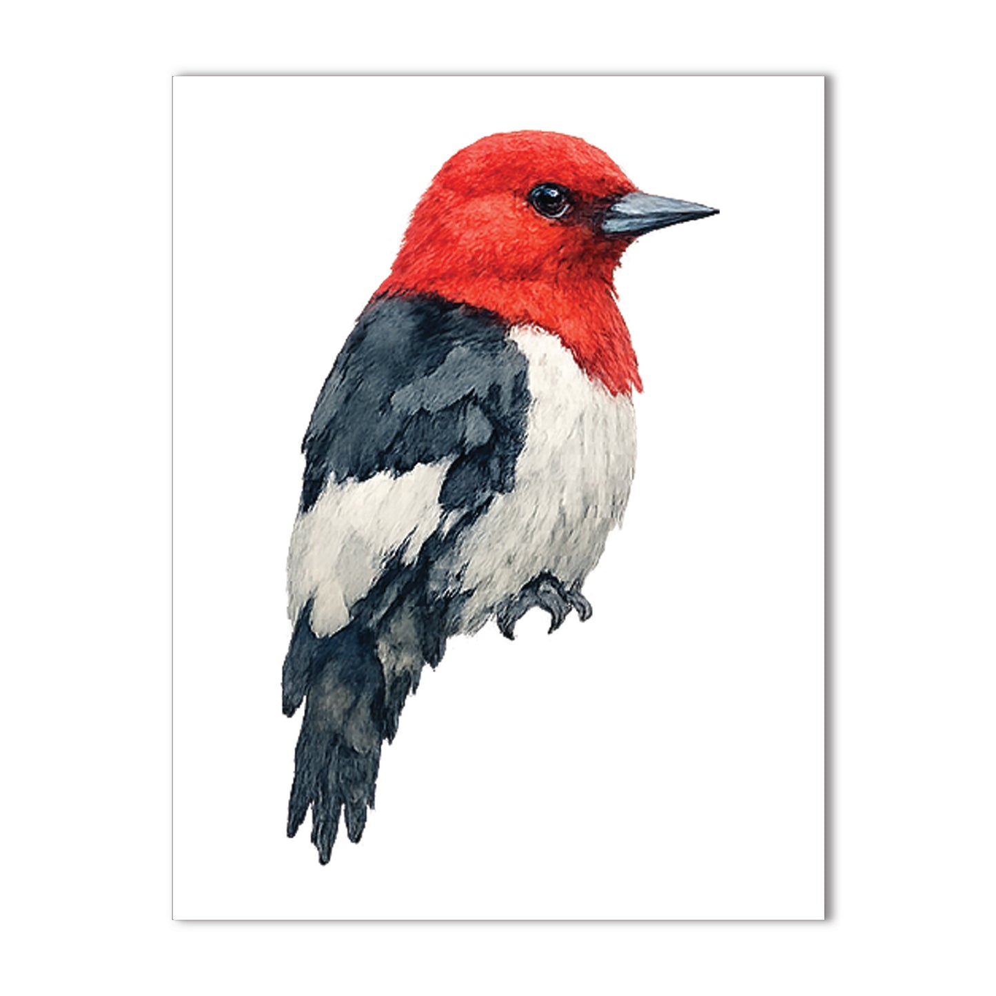 Watercolor Birds - Blank Cards with Envelopes 4.25" x 5.5"