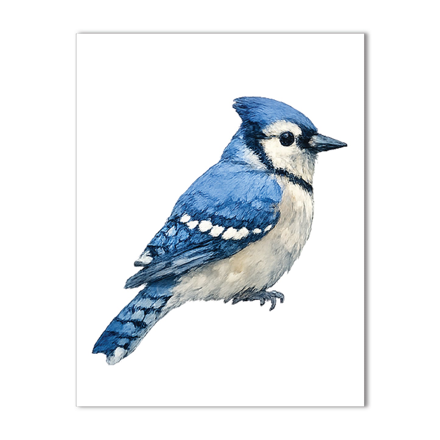 Watercolor Birds - Blank Cards with Envelopes 4.25" x 5.5"