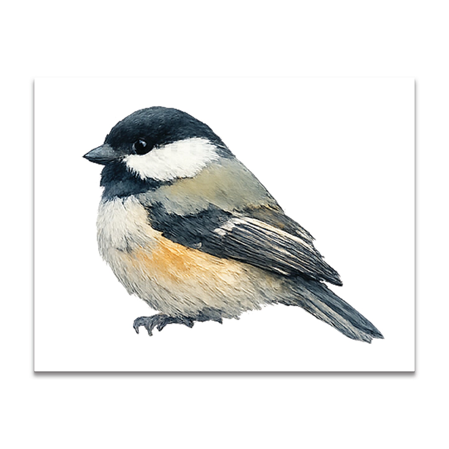Watercolor Birds - Blank Cards with Envelopes 4.25" x 5.5"