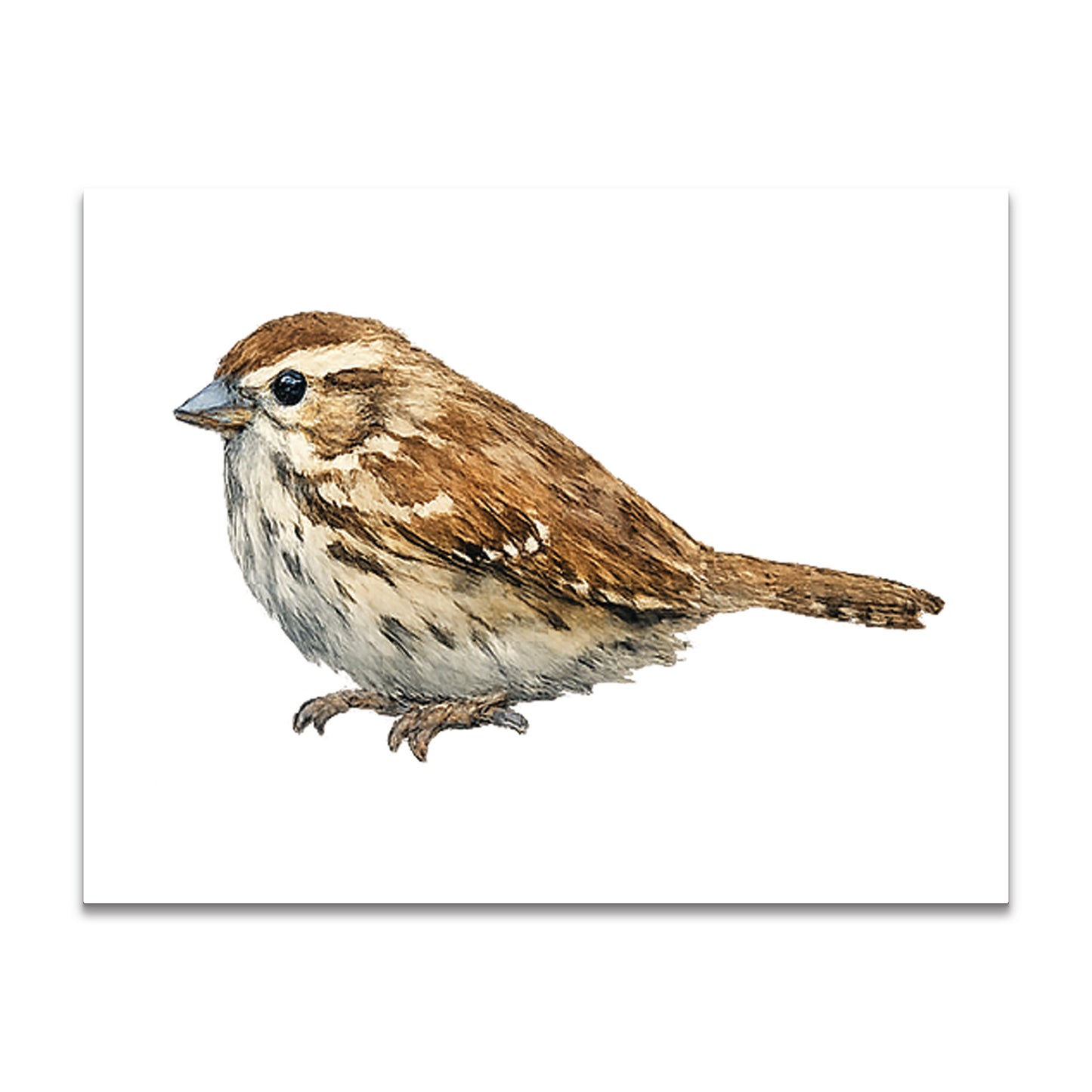 Watercolor Birds - Blank Cards with Envelopes 4.25" x 5.5"