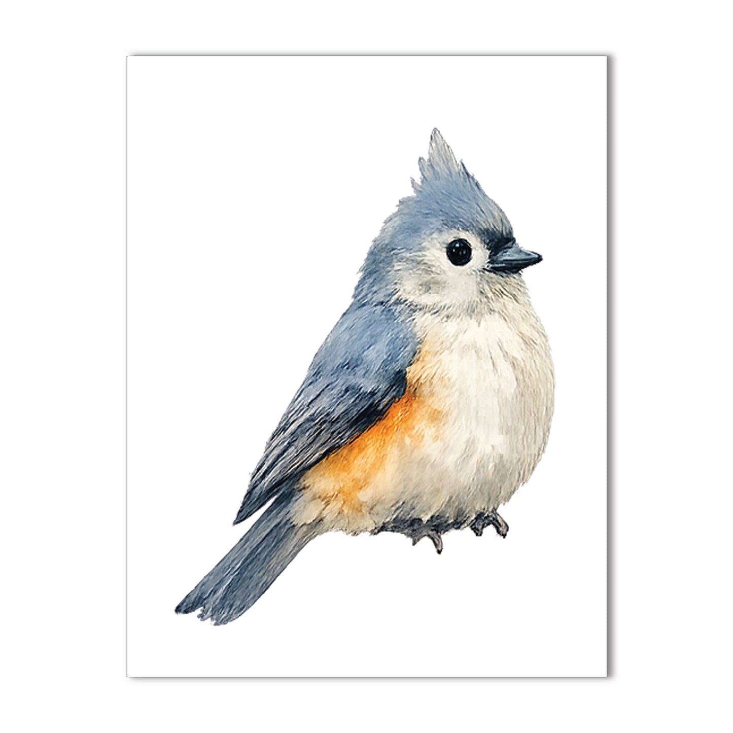 Watercolor Birds - Blank Cards with Envelopes 4.25" x 5.5"