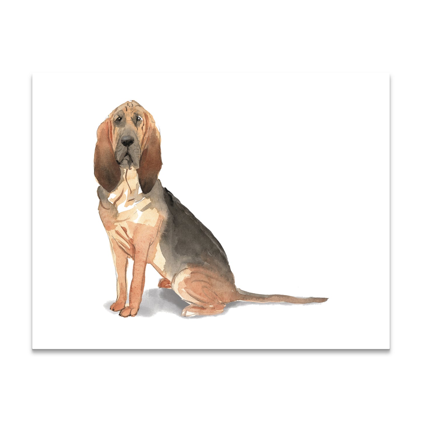 Bloodhound Note Cards Blank Boxed Set of 10