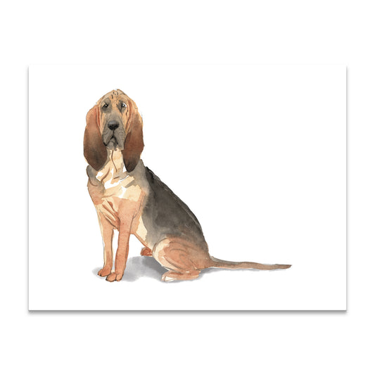 Bloodhound Note Cards Blank Boxed Set of 10