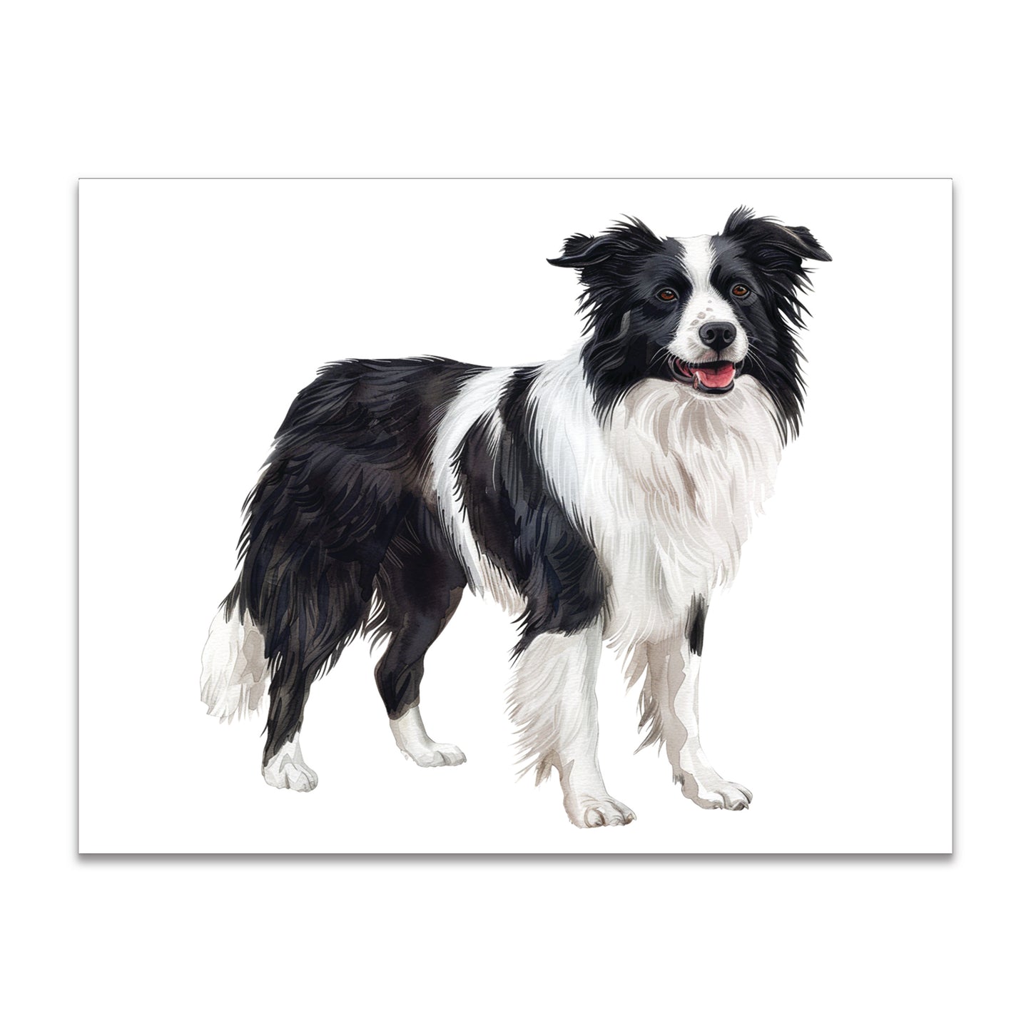 Border Collie Note Cards