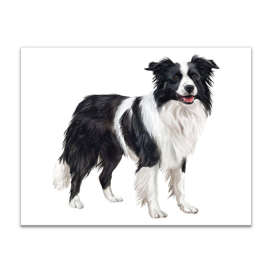 Border Collie Note Cards