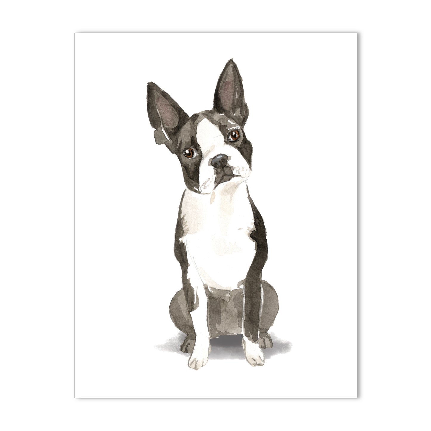 Boston Terrier Note Cards Blank Boxed Set of 10