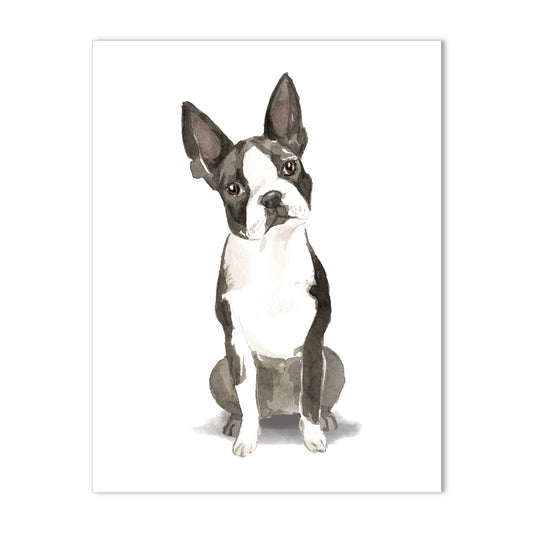 Boston Terrier Note Cards Blank Boxed Set of 10