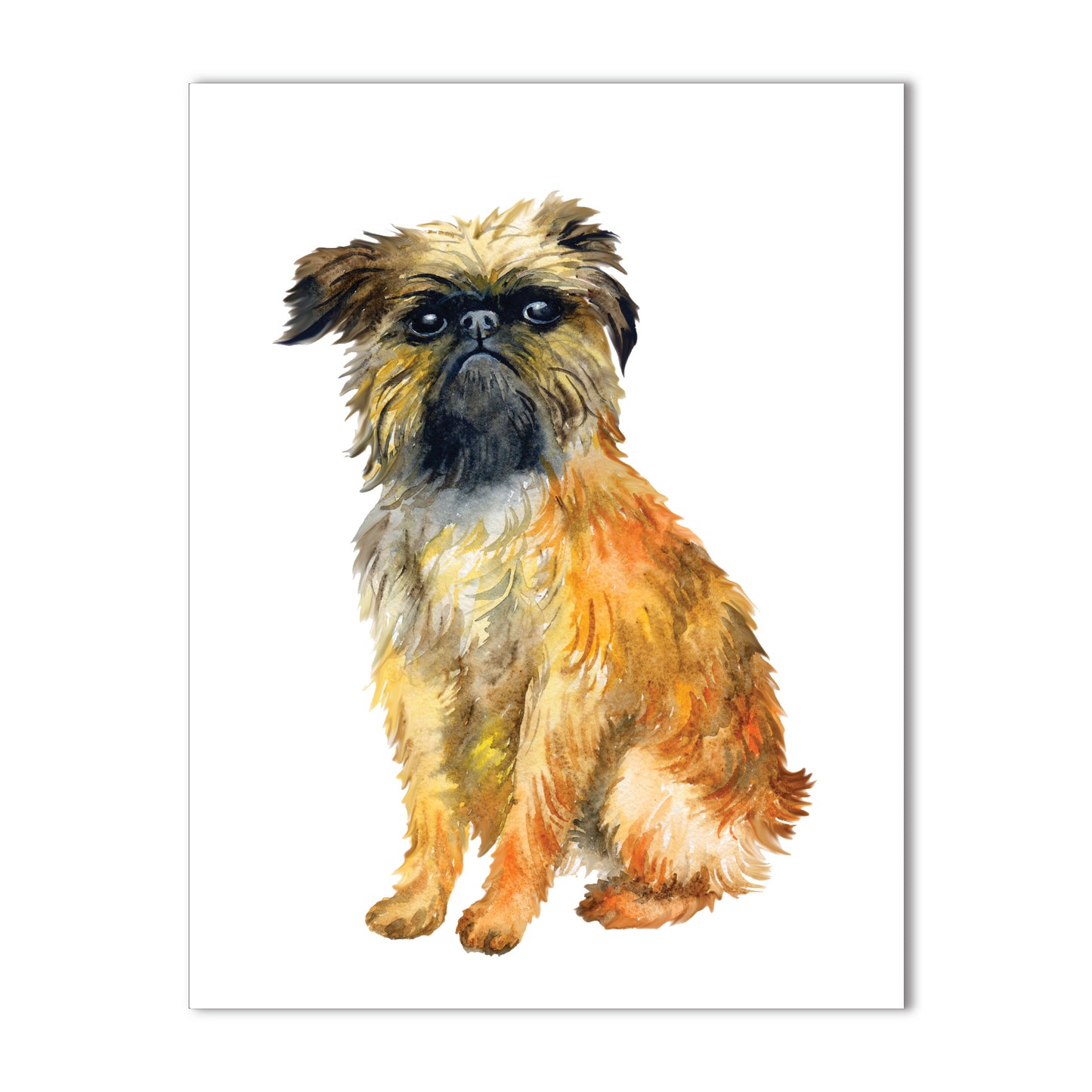 Brussels Griffon Note Cards Set of 10 Blank Note Cards A2