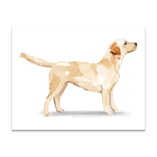 Yellow Labrador Retriever Note Cards Blank Boxed Set of 10