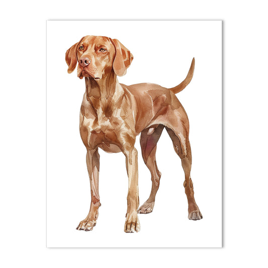 Vizsla, Note Cards Blank Boxed Set of 10